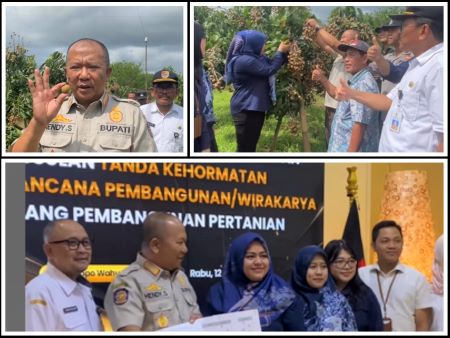Bupati Hendy: Kelengkeng Jemsu Bisa Dongkrak Ekonomi Jember